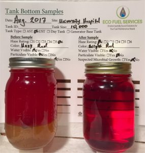 filtered vs not filtered tank bottom samples
