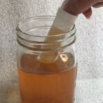 Test Kit for Bacteria